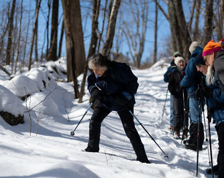 A group examines animal tracks on a winter hike at the Harris Center's Hiroshi Land. (photo © Ben Conant)