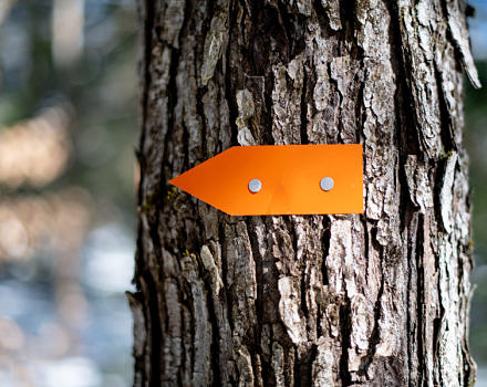 A trail marker points the way on the Harris Center's Hiroshi Loop Trail. (photo © Ben Conant)