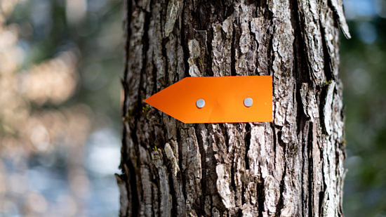 A trail marker points the way on the Harris Center's Hiroshi Loop Trail. (photo © Ben Conant)