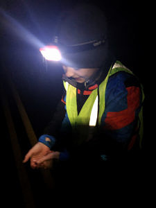 A boy wearing a reflective vest and headlamp holds a spotted salamander. (photo © Karrie Kalich)