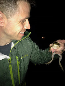 A man smiles at a bullfrog, which he's holding in his hand. (photo © Alison Anderson)