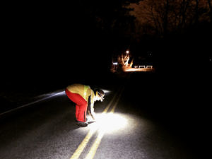 A person in raingear and wearing a headlamp stoops on a dark road to pick up a frog. (photo © Brett Amy Thelen) 