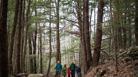 A group of people hike through the woods. (photo © Ben Conant)