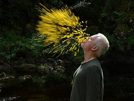 Andy Goldsworth creates a halo of yellow flower petals around his head.