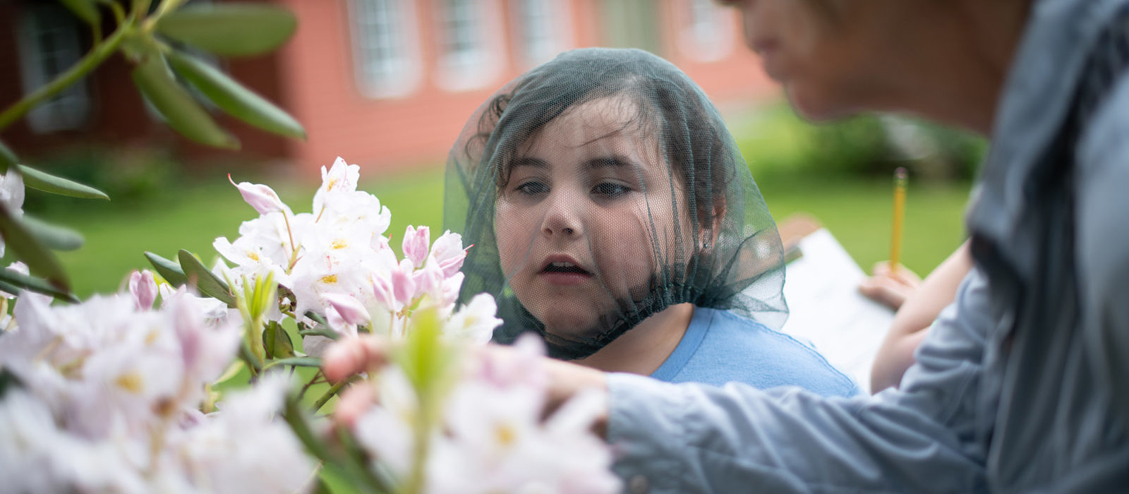A young girl inspects flowers for pollinators during a school field trip to the Harris Center. (photo © Ben Conant)