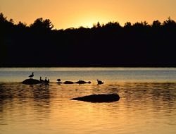 sunrise at Spoonwood Pond (photo © Roxanne Copeland)