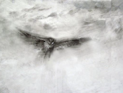 A line drawing of a Saw-Whet Owl in flight. (drawing © Adelaide Tyrol / Northern Woodlands)