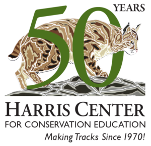 An image of the 50th Anniversary sticker designed by Hannah Ellingwood.