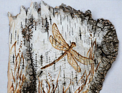 An image of a dragonfly wood-burned onto birch bark, by artist Michelle Russell.