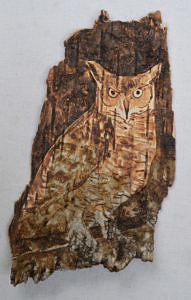 An image of a Great Horned Owl wood-burned onto birch bark, by artist Michelle Russell.
