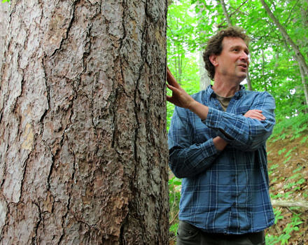 A photo of Jeremy Wilson standing next to a red pine.