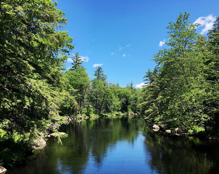 North Branch River in July. (photo © Russ Cobb)