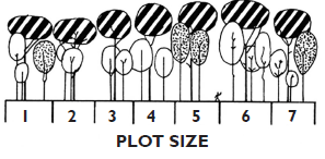 A diagram depicting tree growth over time, adapted from Oliver 1978.