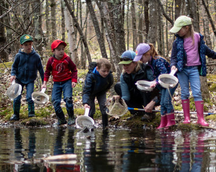 Kindergarteners explore a pond with Harris Center naturalist Jenna Spear. (photo © Ben Conant)