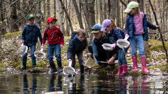 Kindergarteners explore a pond with Harris Center naturalist Jenna Spear. (photo © Ben Conant)