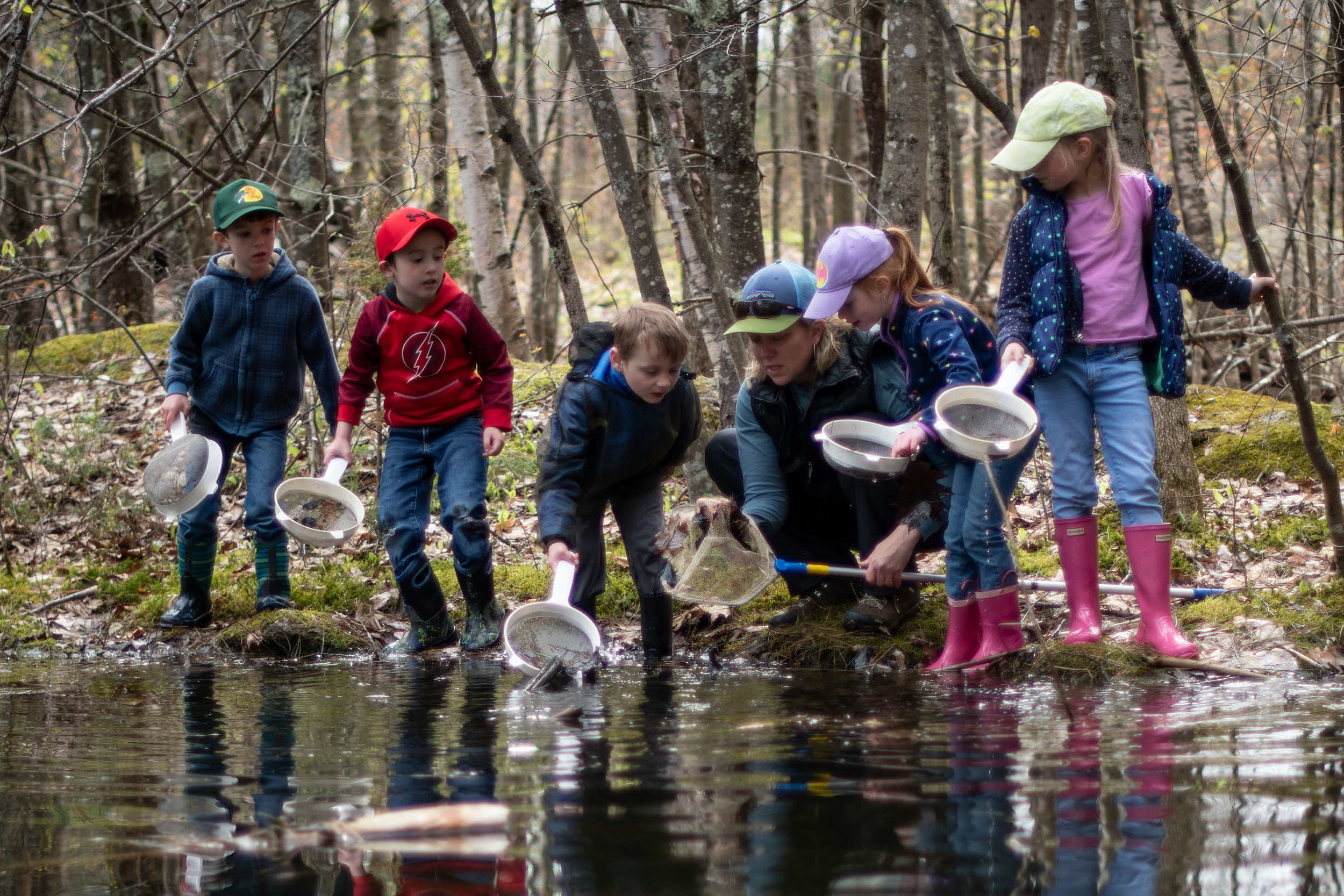 Kindergarteners explore a pond with Harris Center naturalist Jenna Spear. (photo © Ben Conant)