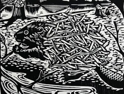 A woodcut of a beaver by Kim Cunningham