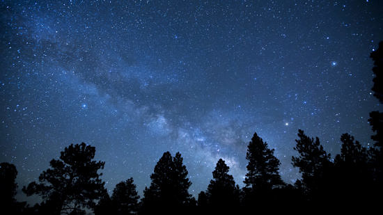 Tree silhouettes against the night sky. Bureau of Land Management photo via Flickr Creative Commons