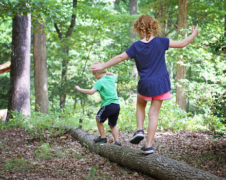 Children balance on a log in the forest. (photo Virginia State Parks via Flickr Creative Commons)