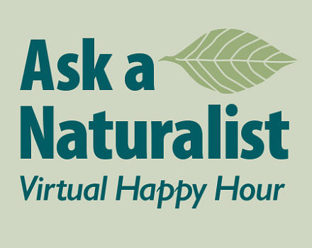Ask A Naturalist logo