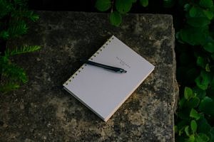 journal on a rock