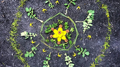 A springtime mandala (Photo Karen Rent)