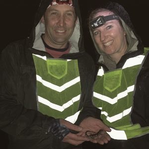 Two Crossing Brigade volunteers in reflective vests smile with a spotted salamander. (photo © Matt Patterson)