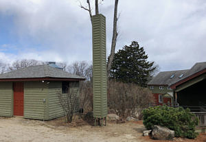 The new Chimney Swift "chimney" at the Harris Center. (photo © Jeremy Wilson)