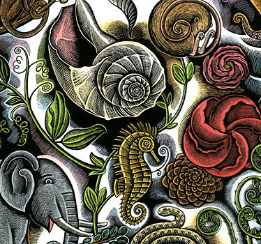 An illustration from Beth Krommes' book "Swirl by Swirl"