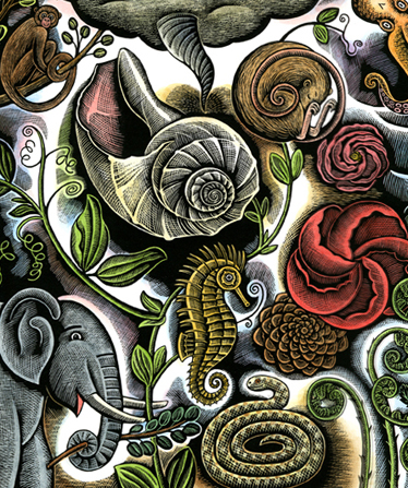 An illustration from Beth Krommes' book "Swirl by Swirl"