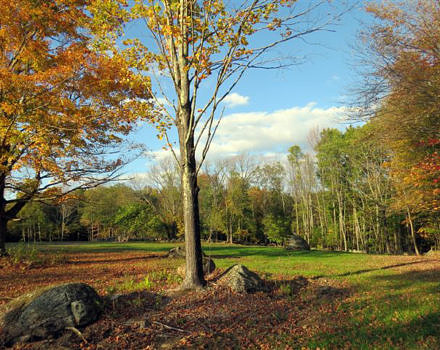 The meadow on the Harris Center's Hiroshi Land, in October. (photo © Meade Cadot)