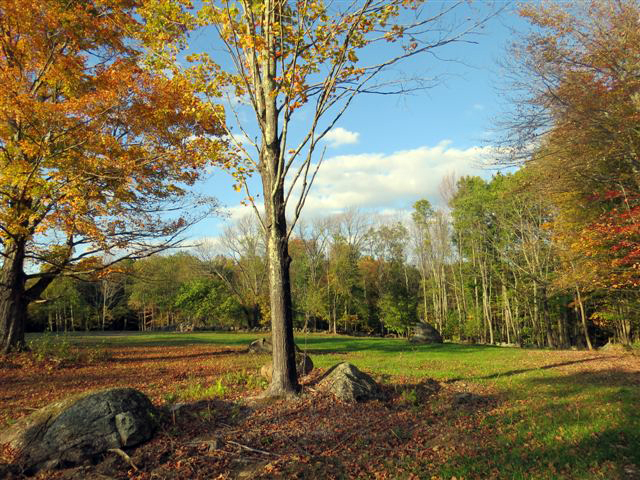 The meadow on the Harris Center's Hiroshi Land, in October. (photo © Meade Cadot)