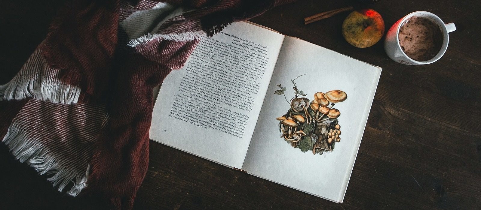 An open book with illustrations of mushrooms on the righthand page and text on the left. (photo ©Kira auf der Heide via Unsplash)