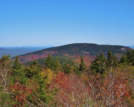 Fall foliage from Observatory