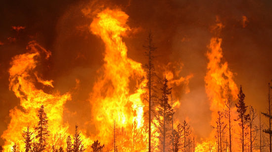 A wildfire at Banff National Park. (photo © Cameron Strandberg via the Flickr Creative Commons)