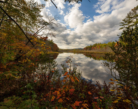 An autumn view of Dinsmore Pond, from the Hiroshi Land. (photo © Tom Momeyer)