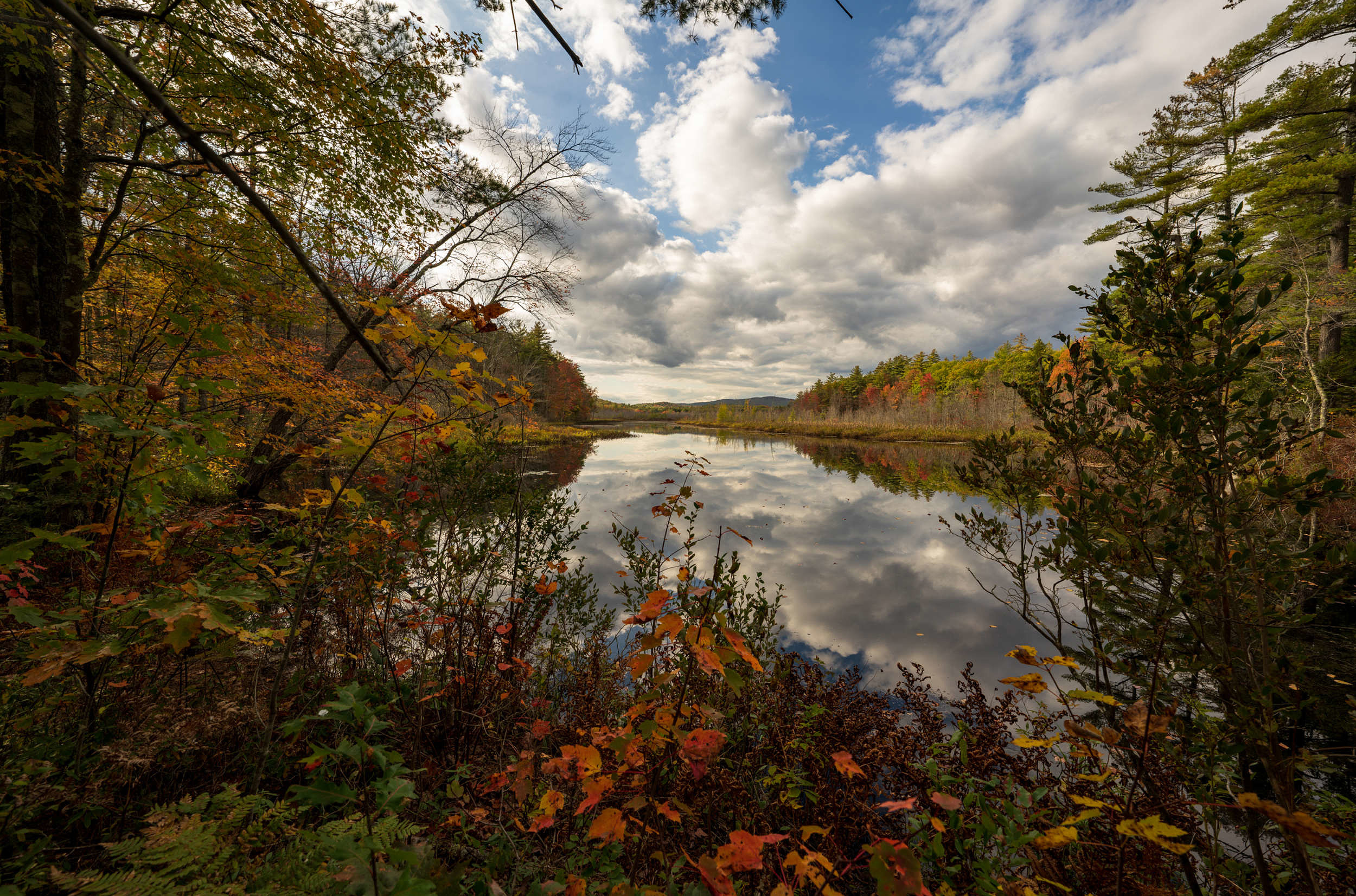 An autumn view of Dinsmore Pond, from the Hiroshi Land. (photo © Tom Momeyer)