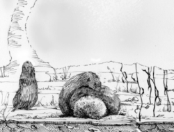 A drawing of voles huddling together underground during the winter by Adelaide Tyrol.
