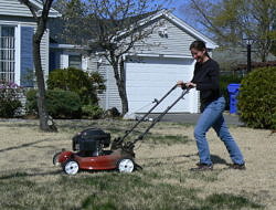Dr. Susannah Lerman mows a suburban lawn as part of her "lazy lawnmower" pollinator research. (photo © UMASS Amherst)