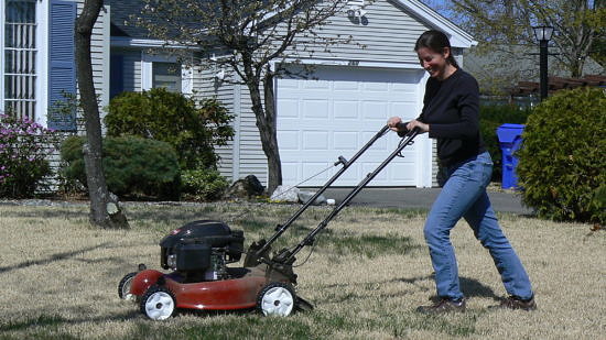 Dr. Susannah Lerman mows a suburban lawn as part of her "lazy lawnmower" pollinator research. (photo © UMASS Amherst)