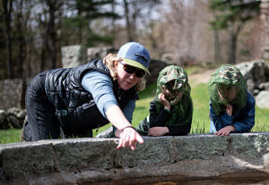 Jenna spear explores the Harris Center frog pond with kindergarteners. (photo © Ben Conant)