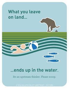 A flyer designed for the Gallatin Valley Land Trust illustrating the water quality impacts of dog poop.