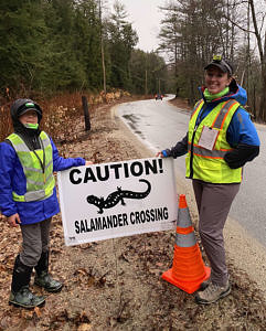 A boy and a young woman, both wearing reflective vests, stand next to a sign that reads "Caution! Salamander Crossing" (photo © Sarah Thomas)