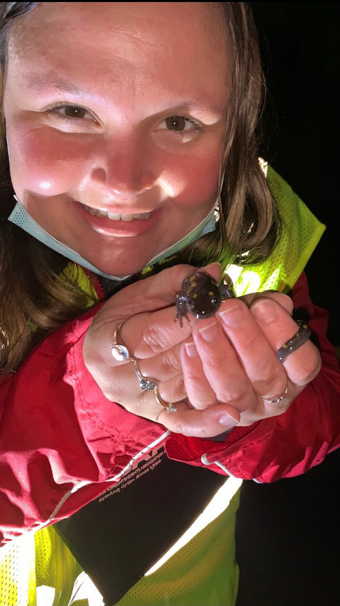 A young woman, wearing a reflective vest, smiling, and holding a spotted salamander. (photo © Sophie Chaisson)
