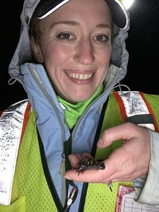 A woman in a rain jacket and reflective vest, holding a salamander in her hand. (photo © Sarah Thomas)