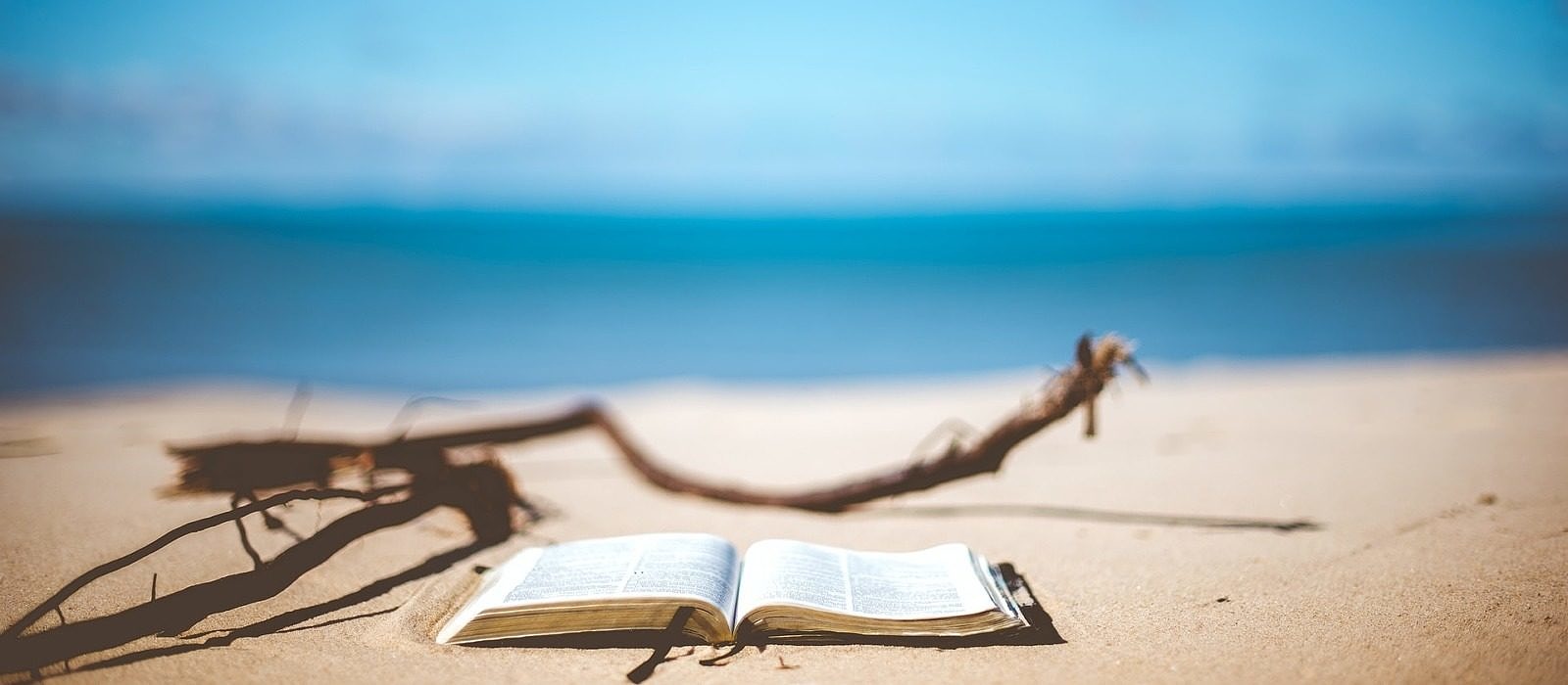 An open book lying on a sandy beach, with driftwood in the foreground and a calm blue ocean in the background. (photo © Ben White via Unsplash)