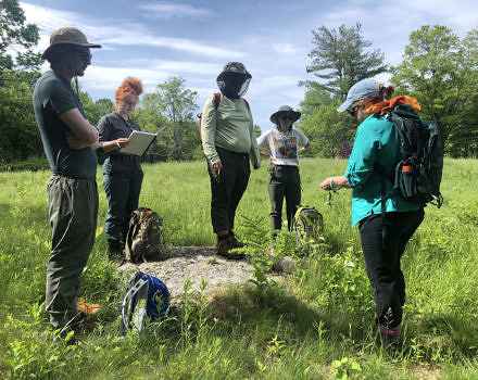 During their first week, the 2021 KSC interns reviewed invasive plant identification with ecologist Karen Seaver. They would then go on to inventory and remove nearly 1,900 stems of invasive barberry from a site near the Bailey Brook Trail in Nelson. (photo © Brett Amy Thelen)