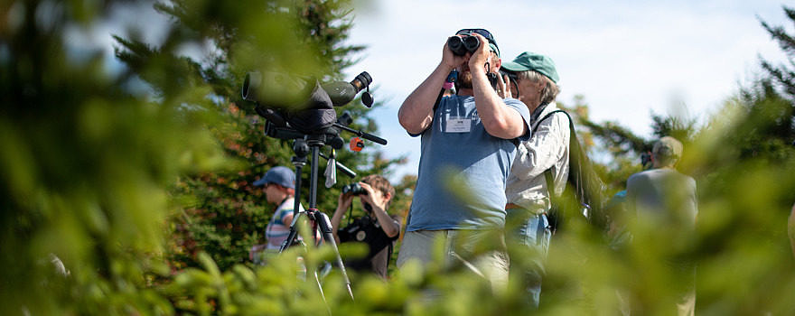 Birders and biologists scan the skies for raptors from the Pack Monadnock Raptor Observatory. (photo © Ben Conant)
