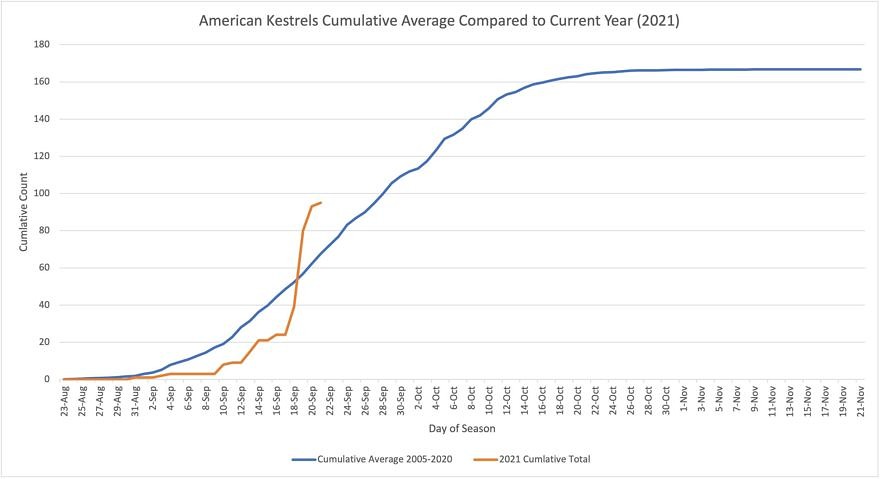 A graph showing the American Kestrel tally for the 2021 season as of 9/23/21, as compared to the long-term average, as observed from Pack Monadnock Raptor Observatory. (graph © Levi Burford)