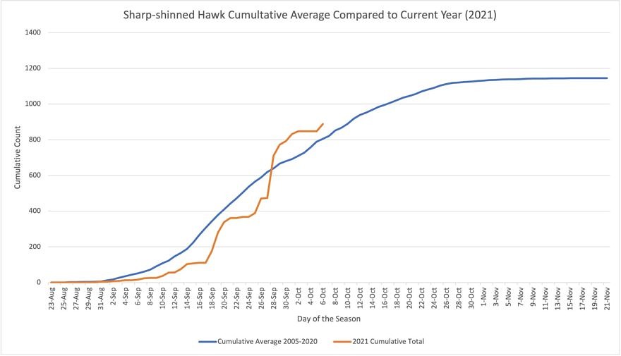 A graph showing the Sharp-shinned Hawk tally for the 2021 season as of 10/5/21, as compared to the long-term average, as observed from Pack Monadnock Raptor Observatory. (graph © Levi Burford)